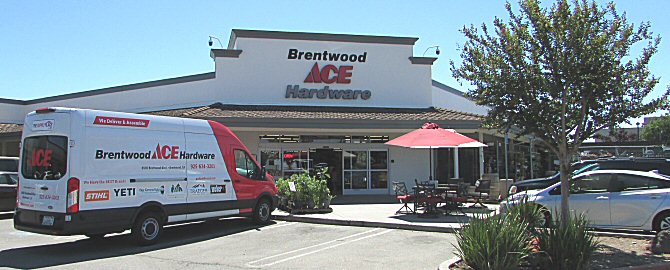 Ace hardware delivery discount